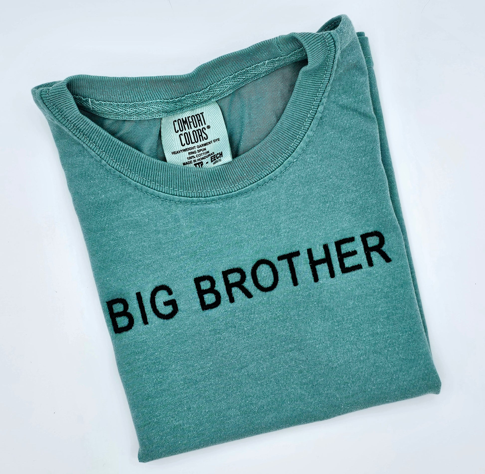 Big Brother Tee - MUDBUGSBTQ