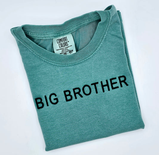 Big Brother Tee - MUDBUGSBTQ