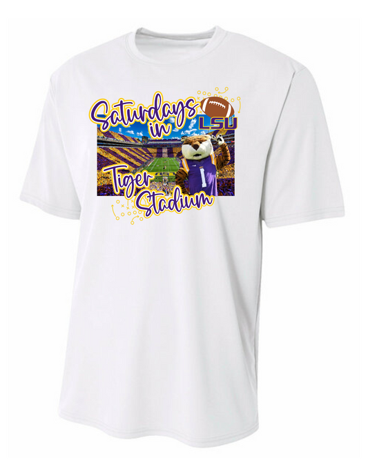 Boys Saturdays in Tiger Stadium - MUDBUGSBTQ