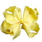Double Ruffle Hair Bow - MUDBUGSBTQ