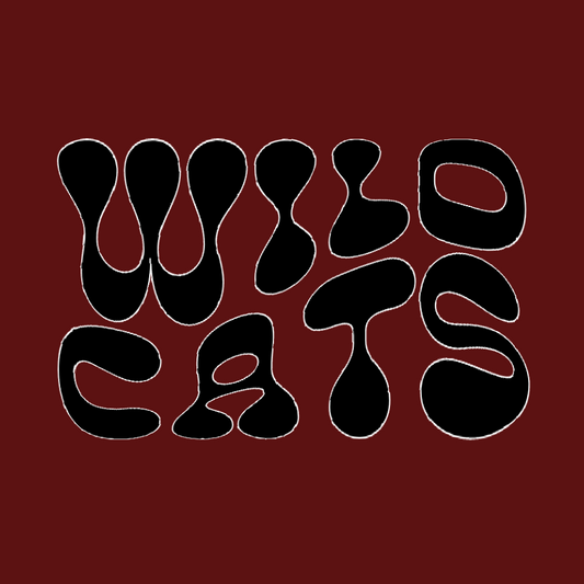 Retro Wildcats Button - MUDBUGSBTQ