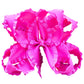 Double Ruffle Hair Bow - MUDBUGSBTQ