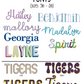 Mardi Gras Banner - MUDBUGSBTQ
